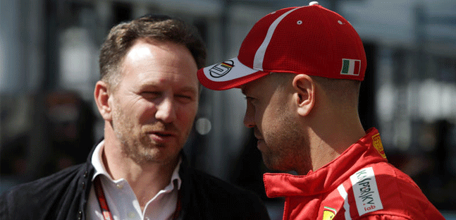 Horner: "Anche Vettel<br />commetteva errori come Max"
