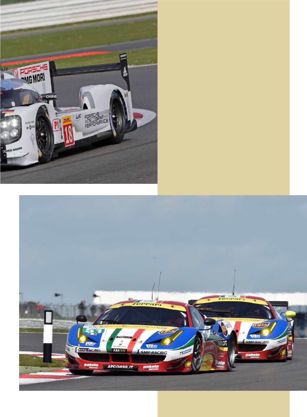 Page Background