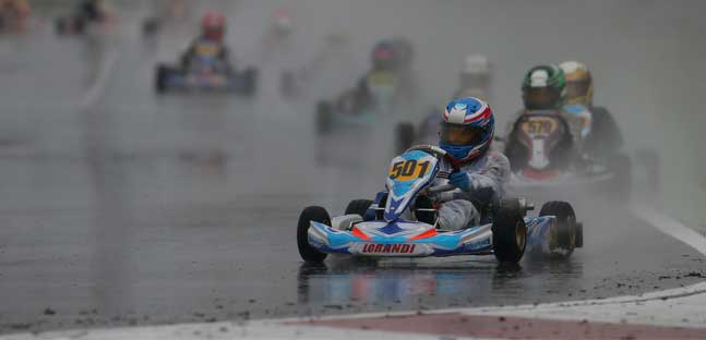 WSK Final Cup ad Adria<br />Bedrin di forza, Gustafsson sorprende