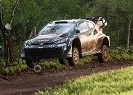 Rally del Paraguay – Finale <br />Ogier vince, Evans resta leader
