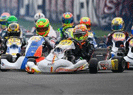 WSK Super Master Series a Sarno<br />Brillano Babicek (OKJ) e Perico (OK-NJ)