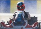 Rubens Barrichello con Birelart<br />nel Mondiale Karting KZ2