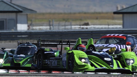 Miller, gara: vittoria sudata per il team Highcroft