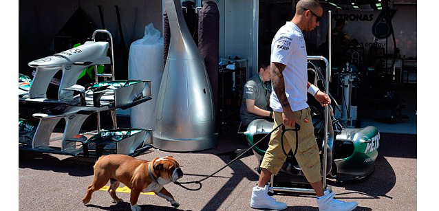 Hamilton con un Roscoe nel motore<br />